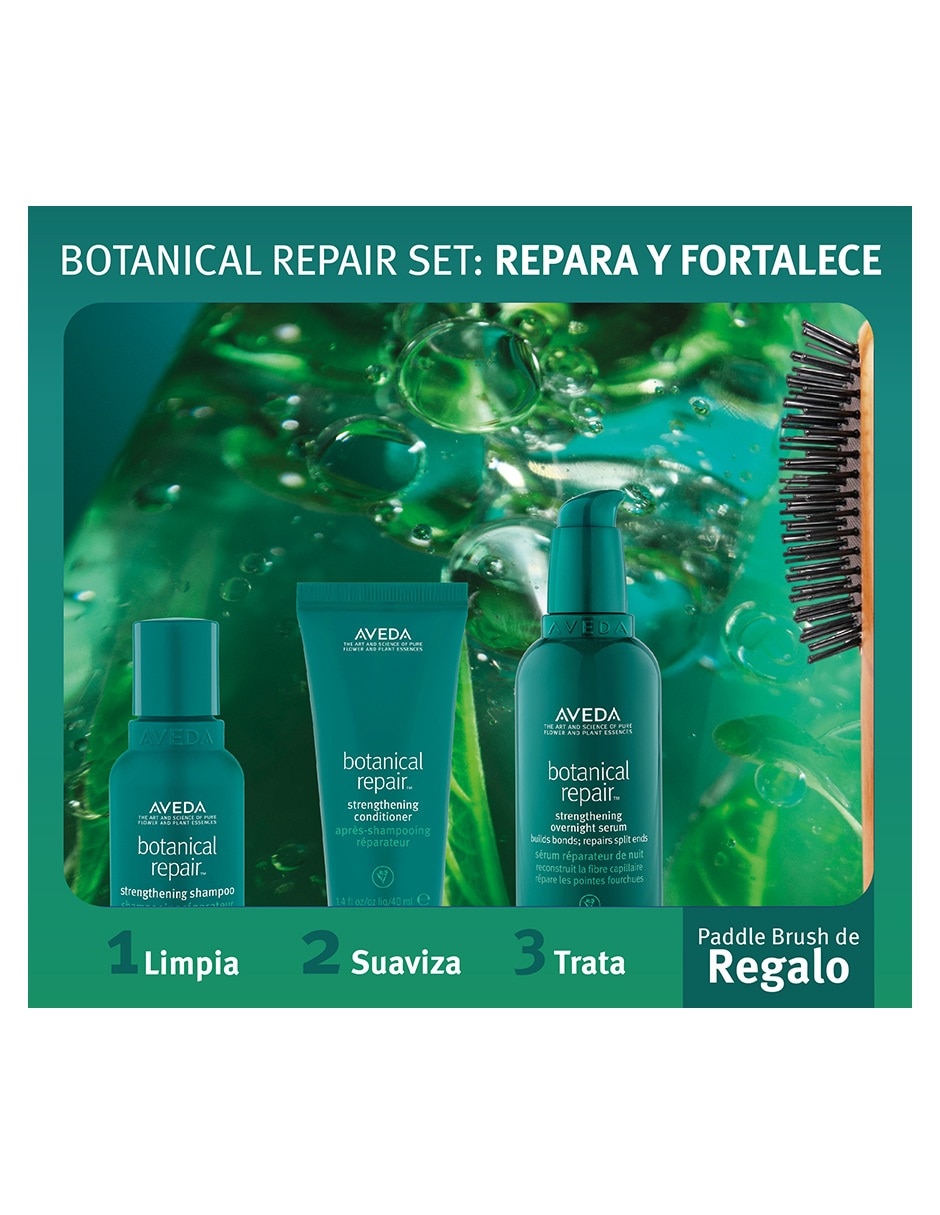 Kit tratamiento para cuero cabelludo Botanical Repair reparador 4