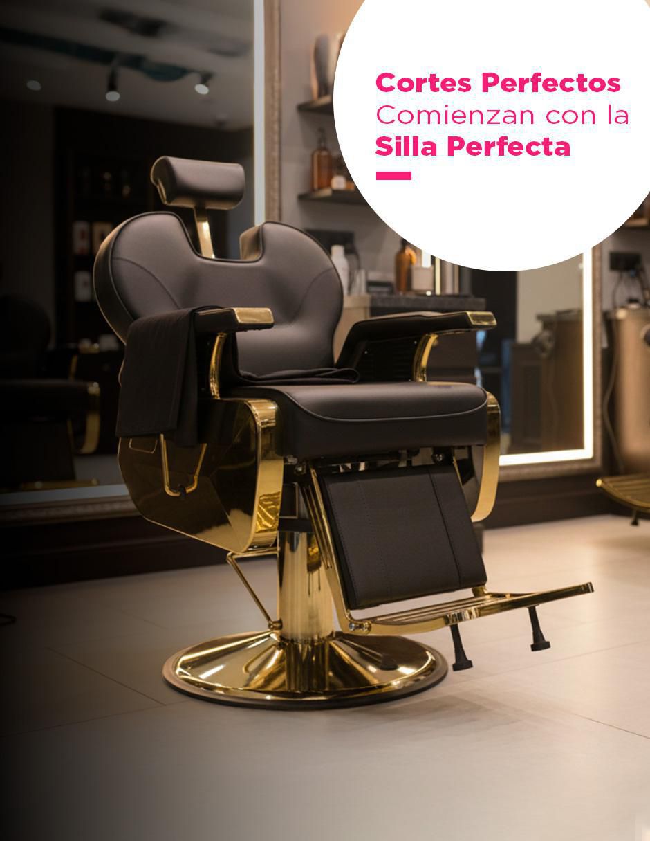 Sillón para barbería Arezzo Bioconfort Giratorio Pro 3