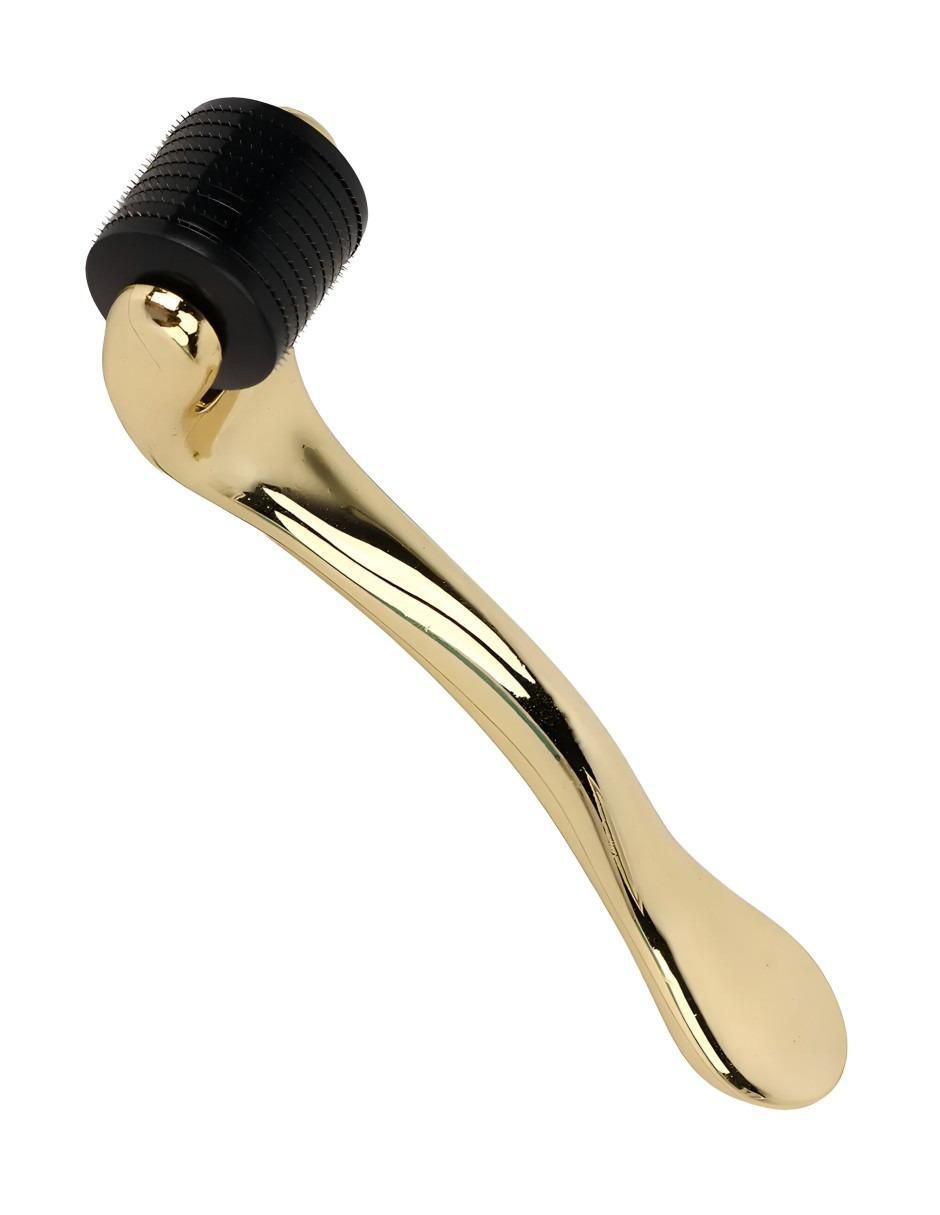 Masajeador corporal Dermaroller Facial 2